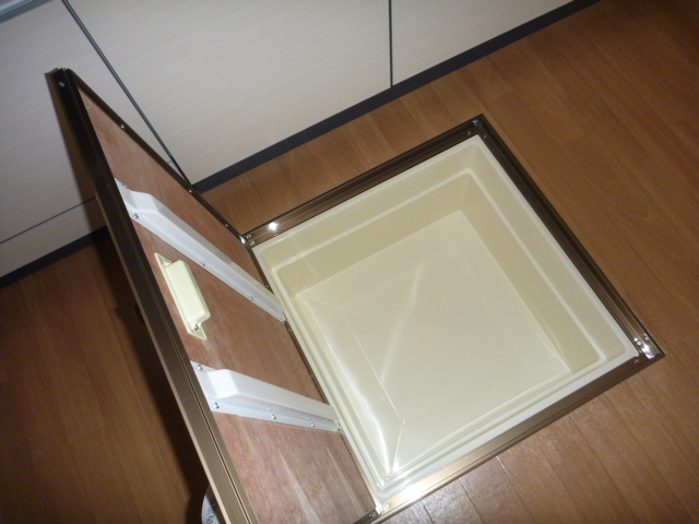 摜